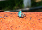Alpine Split Band Ring